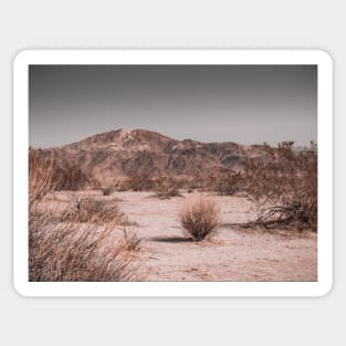 Desert Mountain from Joshua Tree National Park Photo V2 Sticker